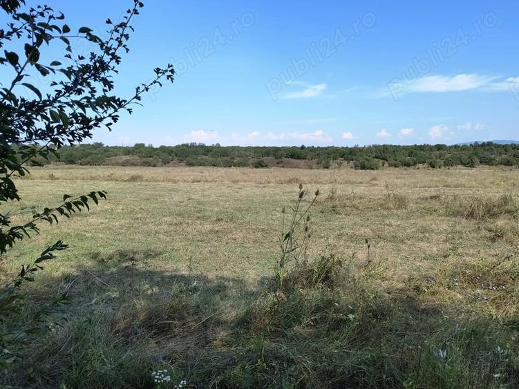 Teren de 7500 mp, în Băicoi