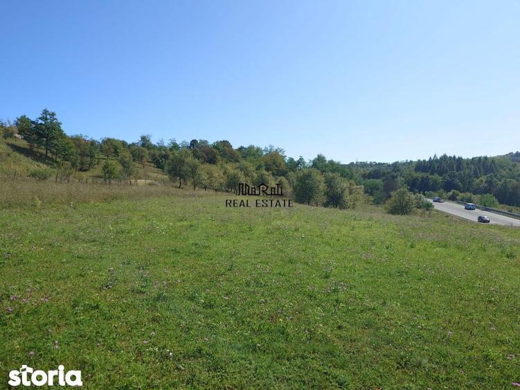 Teren de 8757 mp, în Luncoiu de Jos