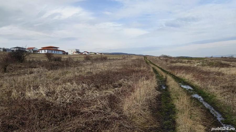 Teren de 2900 mp, în Gheorgheni