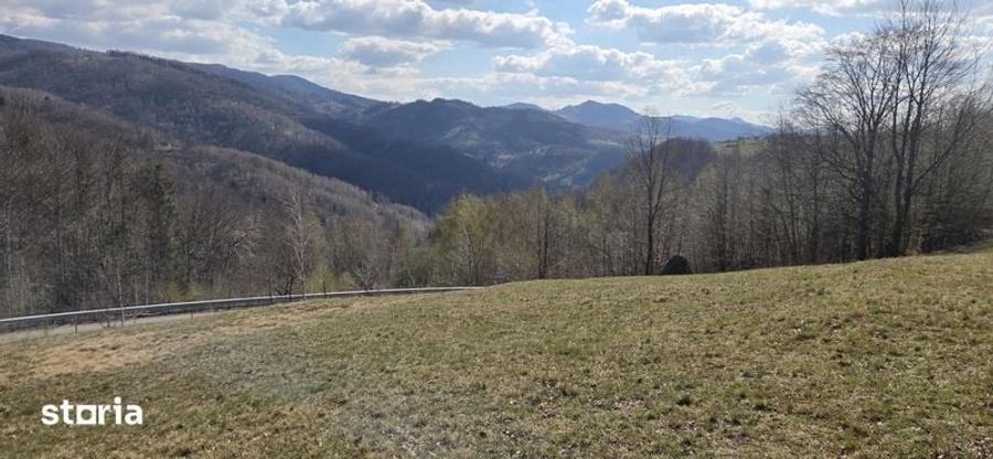 Teren de 4000 mp, în Bulz