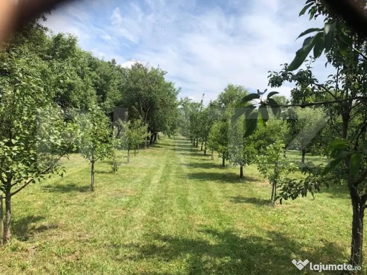 Casă cu 4 camere cu Teren 4783 Mp în Culciu