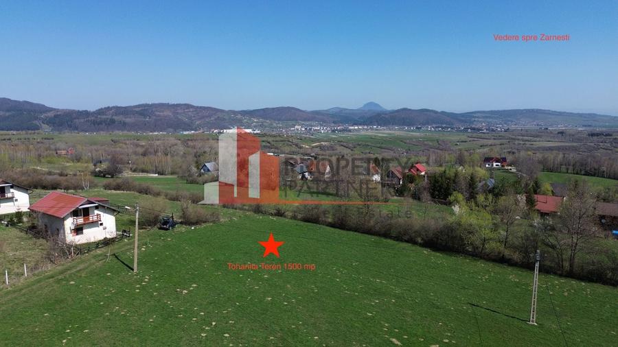 Teren Bran Tohanita | Intravilan 1.379 mp | Vedere Panoramică| - 3