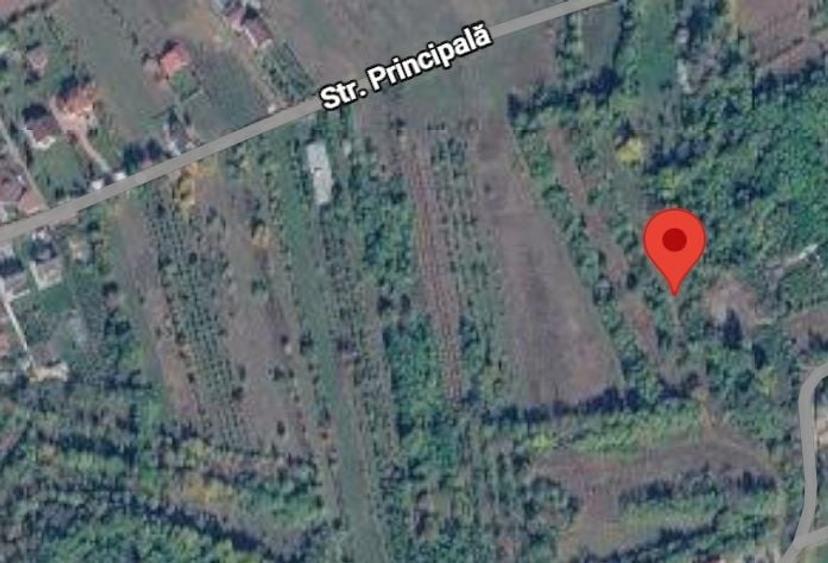 Teren Construcții intravilan de 1773 mp, în Urleta