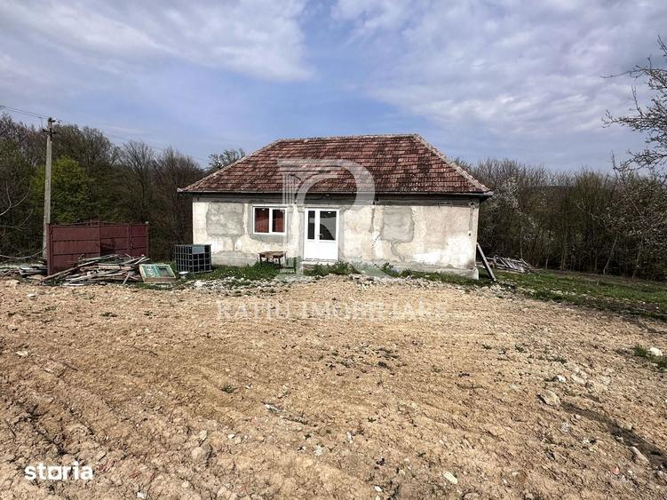 Casa cu livada | teren 2800 mp | Stracos | Bihor - 2