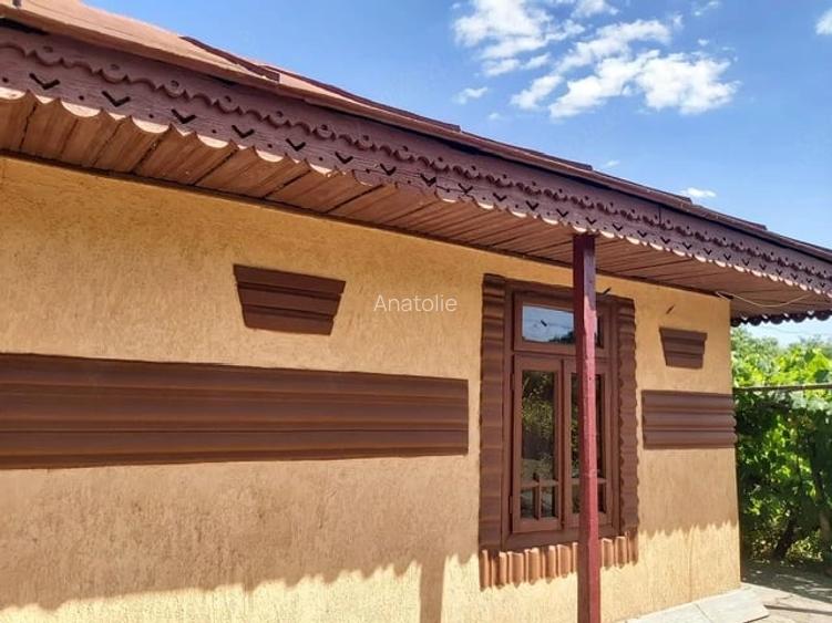Vand casa in sat Idrici