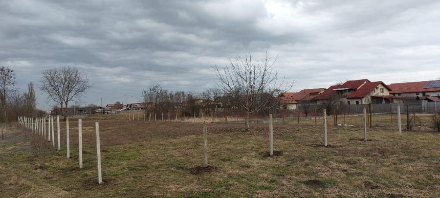 Teren agricol intravilan de 1242 mp, în Dumbrăvița