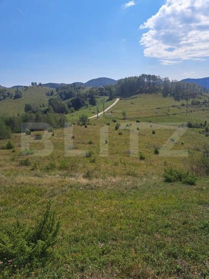 Teren Construcții extravilan de 4604 mp, în Exterior Nord