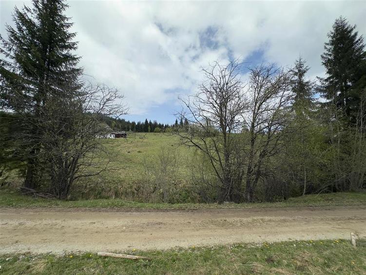 Teren Construcții intravilan de 6000 mp, în Șaru Dornei