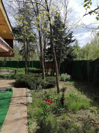 Casă individuală cu 12 camere cu Teren 1000 Mp în Central
