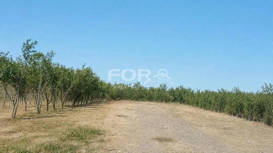 Casă cu 3 camere cu Teren 1133 Mp în Tulca
