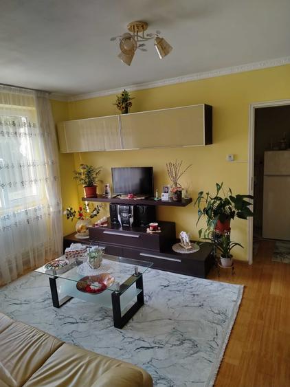 Apartament 2 camere in Baia Sprie - 8