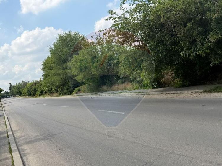 Teren Construcții intravilan de 50580 mp, în Giulești