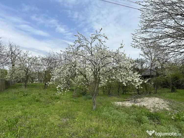 Teren de 7491 mp, în Găiseanca