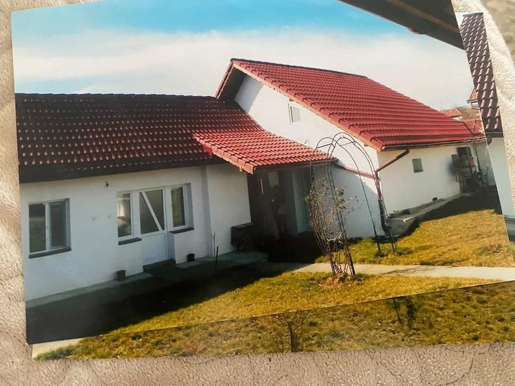 Casă cu Teren 3000 Mp în Schela