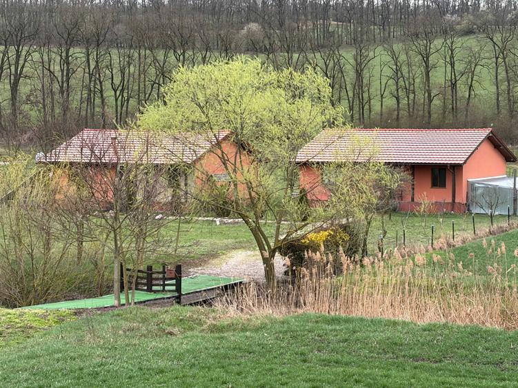 Casă cu 3 camere în Bolduț