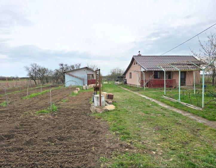 Casă individuală cu 4 camere cu Teren 4200 Mp în Negrași