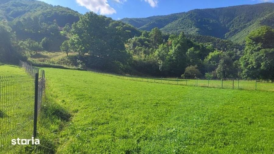 Teren de 1600 mp, în Râu Sadului
