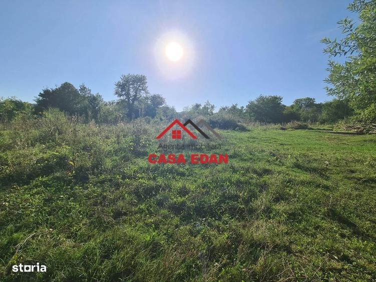 Teren intravilan in Cornu (Ph)--1490 mp--29e - 15