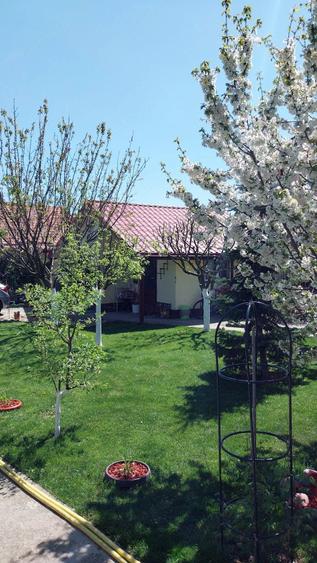 Casă cu Teren 527 Mp în Mânăstirea