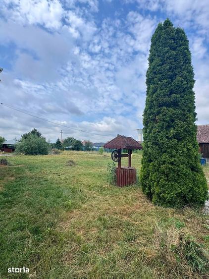 Casă cu 3 camere cu Teren 3500 Mp în Central