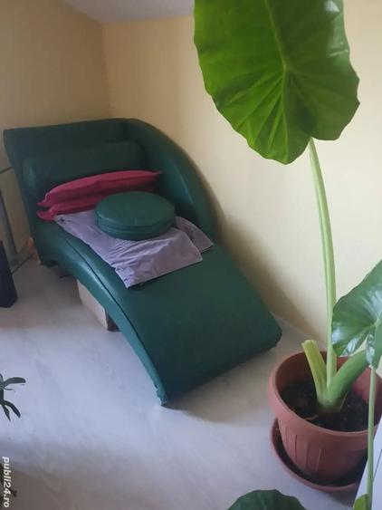 Casă cu 3 camere cu Teren 272 Mp în Săcălaz