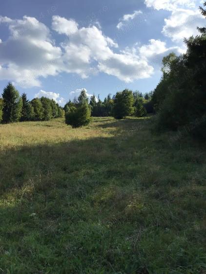 Teren de 10000 mp, în Ceahlău