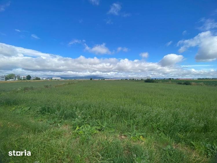 Teren extravilan, 7000mp, Cristian - 1