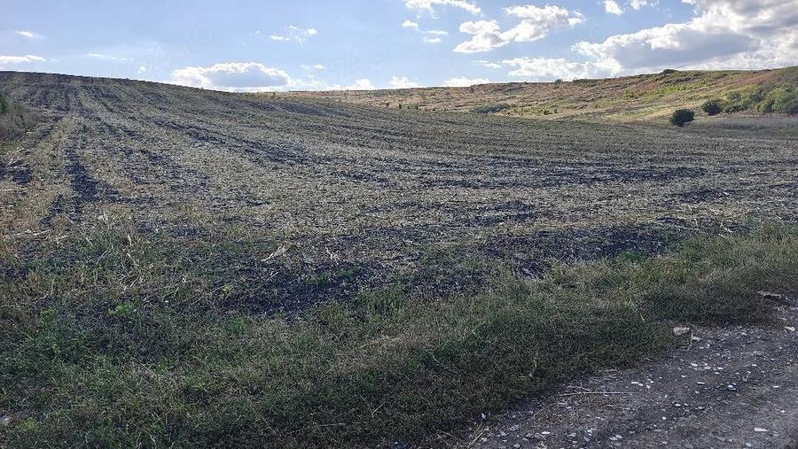 Teren de 7000 mp, în Vale
