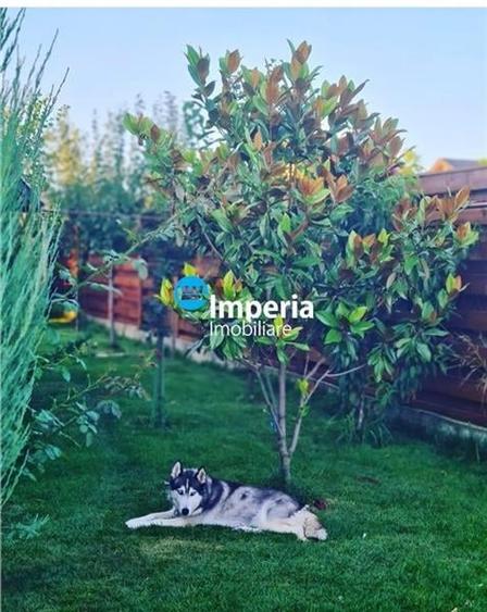 Casă individuală cu 5 camere cu Piscina în Breazu