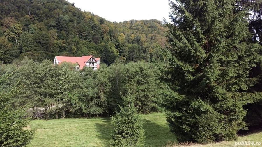 Vand teren pentru locuinta casa de vacan?a in Timi?ul de Jos, Sacele, Bra?ov - 4