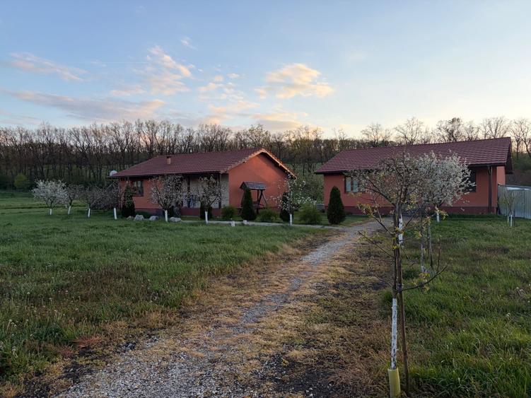 Casă cu 3 camere în Bolduț