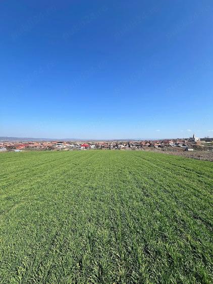 Teren de 5375 mp, în Cheriu