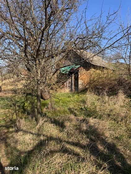 Teren de 6707 mp, în Cetariu