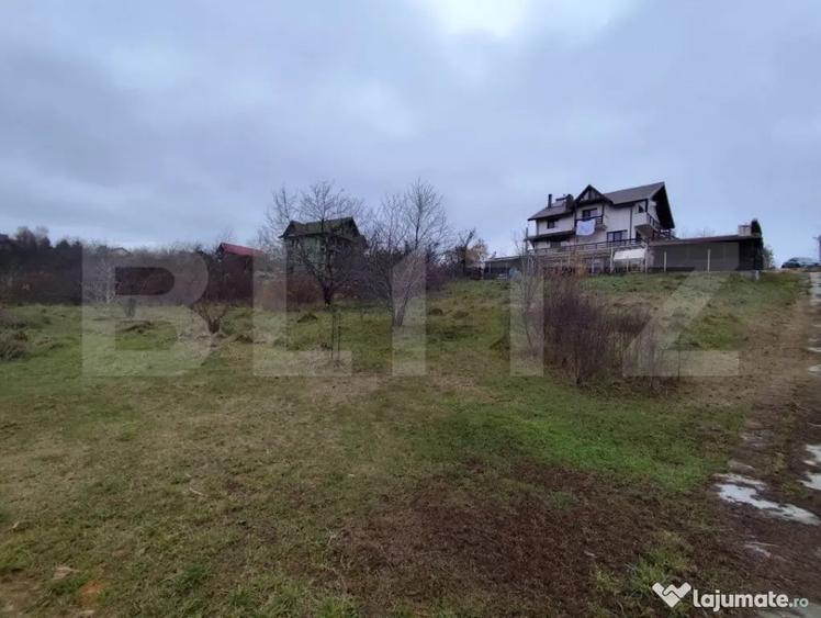 Teren de 2600 mp, în Strugurilor