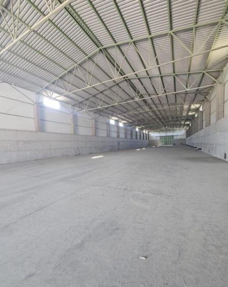 Proprietate agroindustriala, hala 1590 mp, teren 28000 mp, p - 7