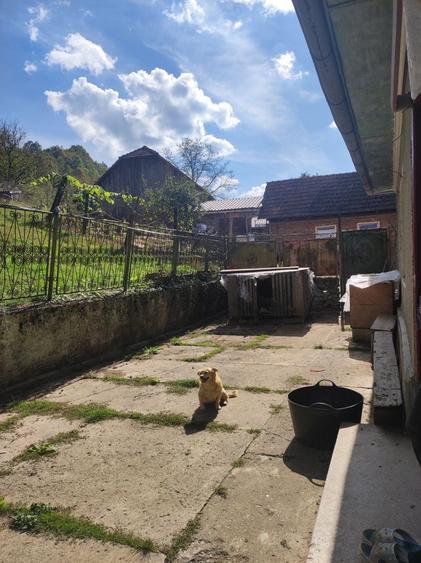 Casă cu 4 camere în Hălmagiu
