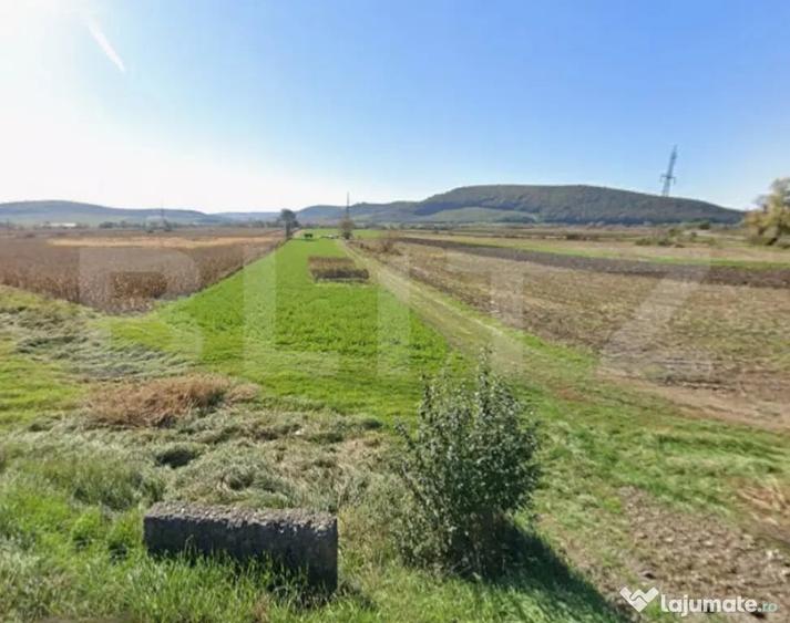Oportunitate! 59 ari teren agricol la doar 13.000 - 3