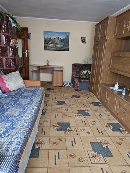 Apartament cu 2 camere decomandat în Arsura
