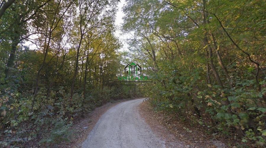 Teren extravilan de 274384 mp, în Nord