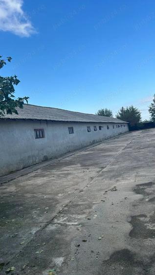 Teren de 5000 mp, în Central
