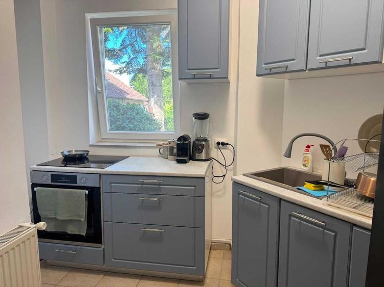 Apartament cu 2 camere decomandat în Dosu Bricii