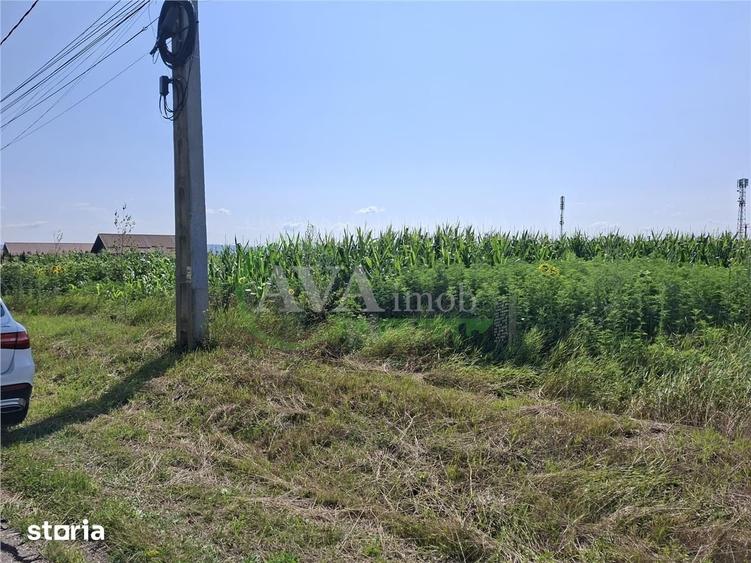 Teren de 1600 mp, în Nicolae Bălcescu