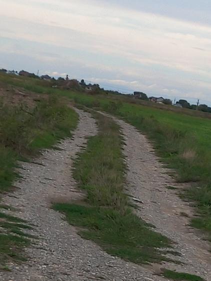 Teren de 10000 mp, în Bolintin-Deal