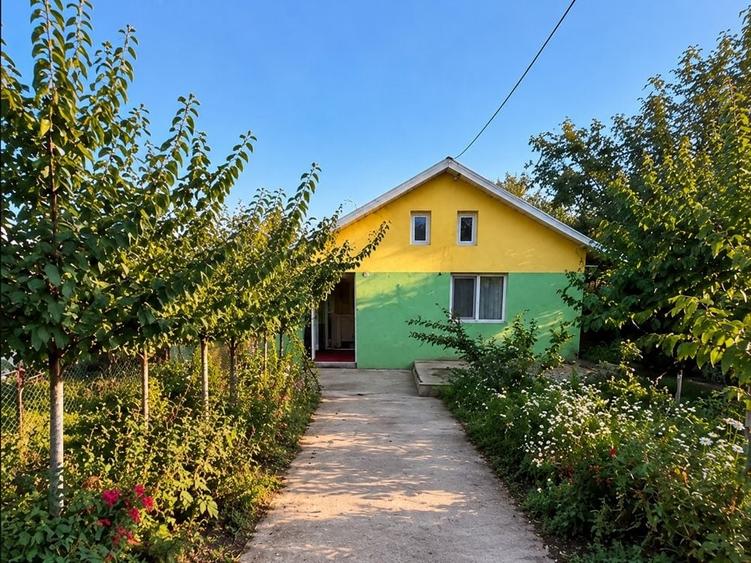 Casă cu 2 camere în Epureni