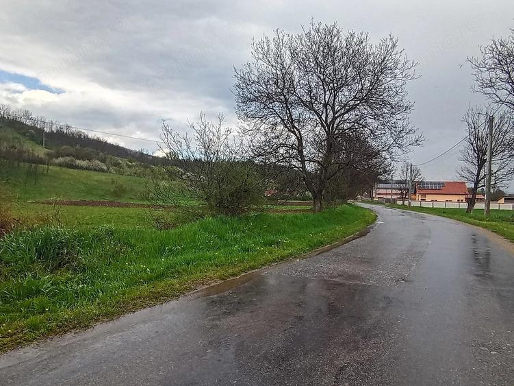 Teren de 5272 mp, în General Berthelot