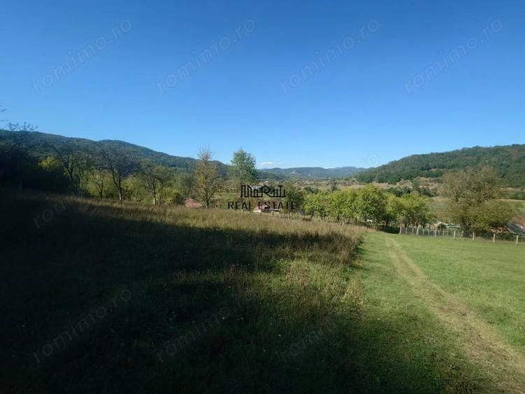 Teren de 56031 mp, în Criș