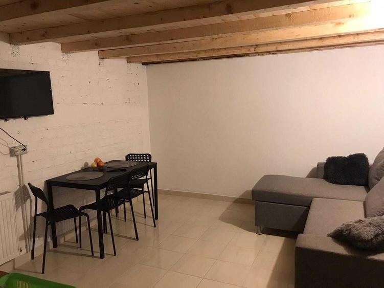 Spațiu comercial, de 18 mp, în Plevnei