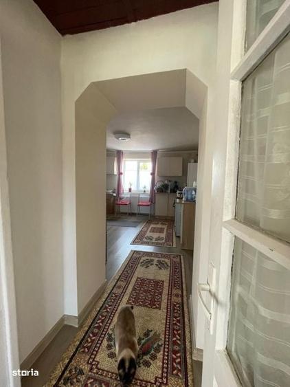 Casă cu 2 camere în Săbișa