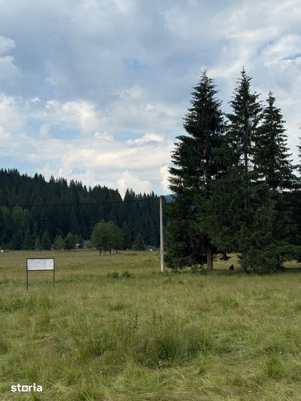 Teren de 2000 mp, în Central