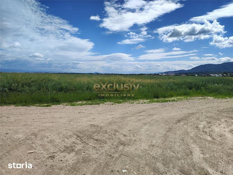 Teren de 42500 mp, în Cristian
